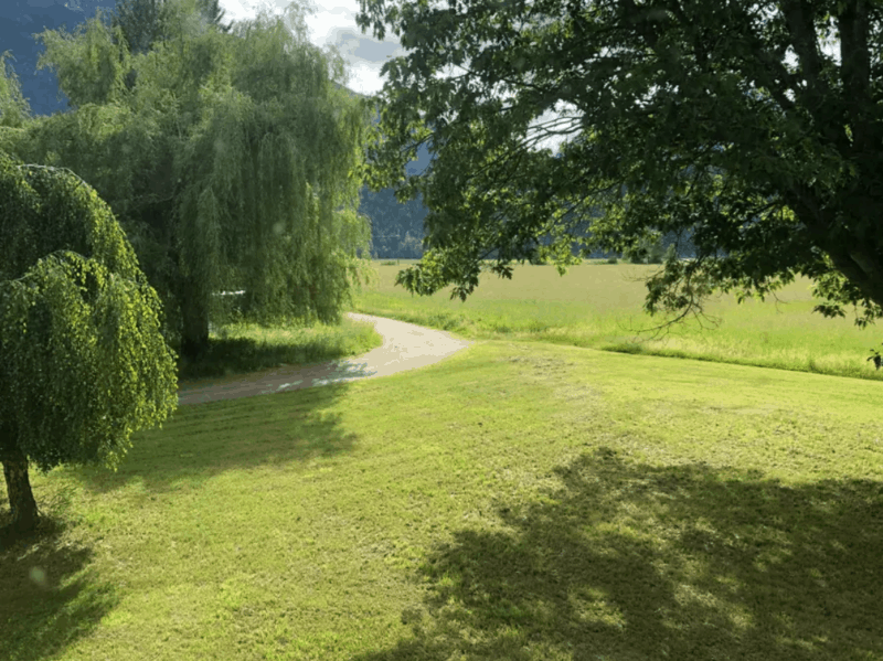 Screen+Shot+2019-06-21+at+10.13.19+AM