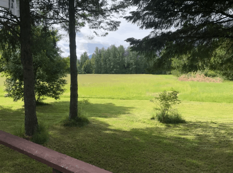 Screen+Shot+2019-06-21+at+10.13.33+AM